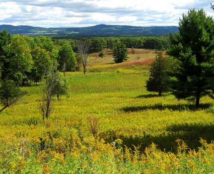 Saratoga Battle Site